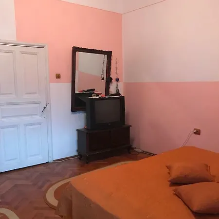 Viorica's Place コンスタンツァ